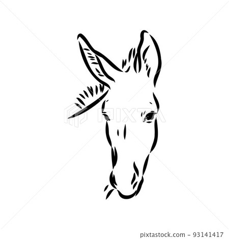 Sketch of donkey Hand drawn illustration donkey vector 93141417