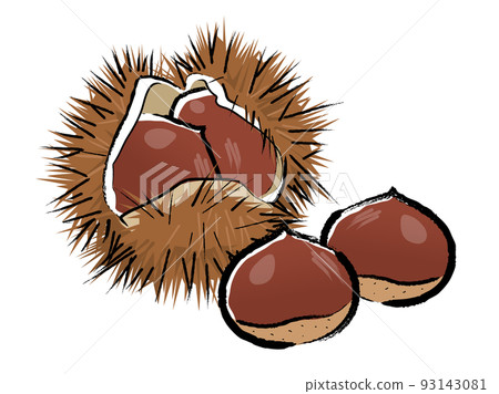 Chestnut _ brush writing - Stock Illustration [93143081] - PIXTA