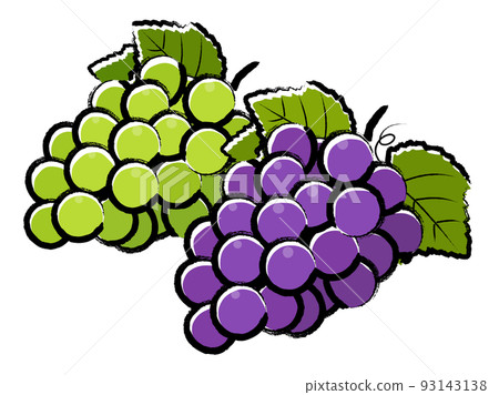 Grapes _ brush writing 93143138
