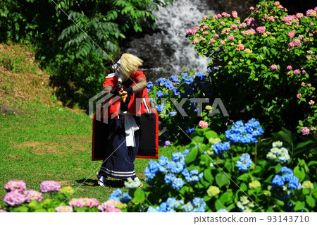 Kitakami City, Iwate Prefecture Local Performing Arts Hydrangea and Demon Sword Dance 93143710