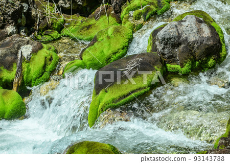 Chichatsubomigoke Park (Gunma Prefecture) Chichatsubomigoke Park (Gunma Prefecture) 93143788