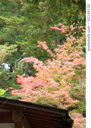 Motoise Inner Shrine Amano Iwato Shrine 93144338