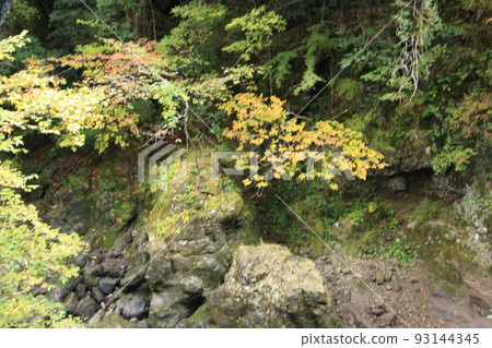 Motoise Inner Shrine Amano Iwato Shrine Motoise Inner Shrine Amano Iwato Shrine 93144345
