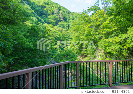 從大壩下的觀察點眺望吾妻峽初夏景色 93144561