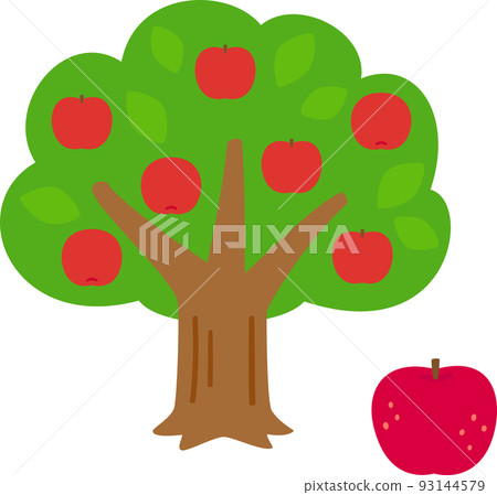 apple tree with fruit apple tree with fruit 93144579