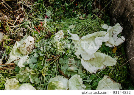 Compost pit for food waste. Concept of organic fertilizers for garden. Compost pit for food waste. Concept of organic fertilizers for garden. 93144822