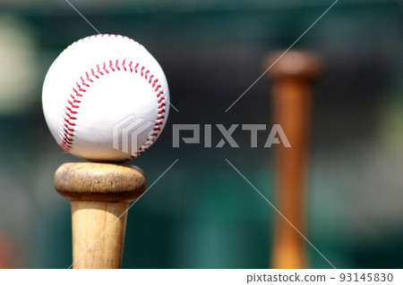 Baseball hardball 93145830