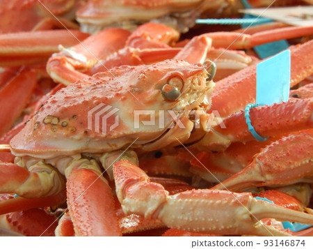 Tagged brand snow crab Tagged brand snow crab 93146874