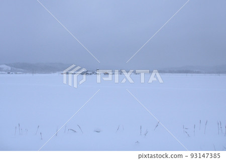 2021年12月北海道旭川站至稚內站的宗谷本線風光 93147385