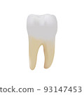 Molar teeth on white background 93147453