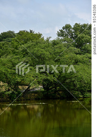 奧辻山縣民公園的初夏 奧辻山縣民公園的初夏 93148386