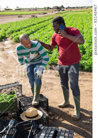 Latin american farm worker feeling chest pain, african workmate calling doctor 93148467