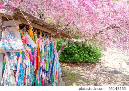 A prayer for peace and a thousand paper cranes for the requiem Okunoshima, Tadanoumi-cho, Takehara-shi, Hiroshima 93148563