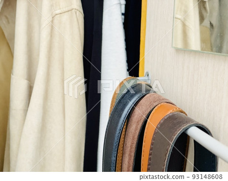 closet mirror and belt 93148608