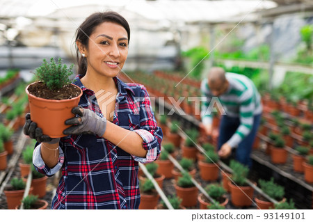 couple working together in greenhouse farm 93149101