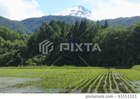 Spring of Chokai Mountain Spring of Chokai Mountain 93151323
