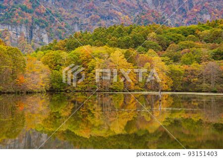 Miraculous Arataka Shinshu Togakushi Autumn Kagami Pond with colored leaves Miraculous Arataka Shinshu Togakushi Autumn Kagami Pond with colored leaves 93151403