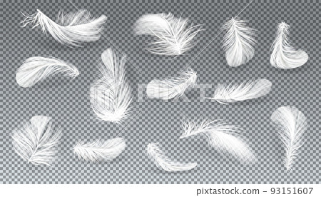 Vector 3d realistic set of white feathers 93151607