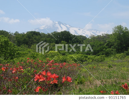 Spring of Chokai Mountain Spring of Chokai Mountain 93151765