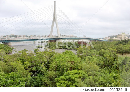 Mangroves on the bank of Manko Mangroves on the bank of Manko 93152346