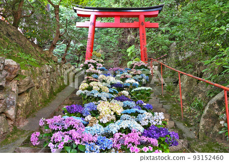 [Yanagiya Kannon Yangtani寺]京都府長岡京市城道谷aya谷 93152460