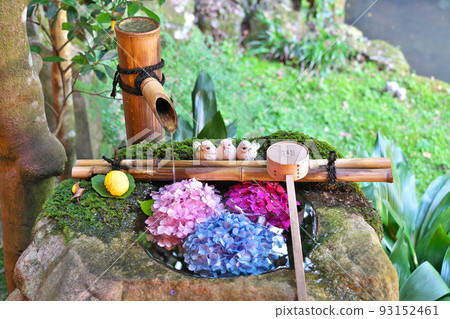 [柳谷觀音 Yogokuji Temple (Flowers)] 京都府長岡京市淨德谷堂屋 93152461