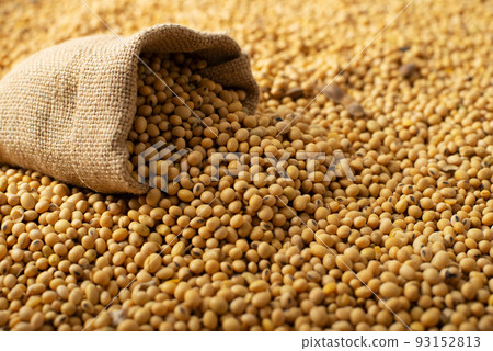 Burlap sack with soy on soy bean background closeup 93152813