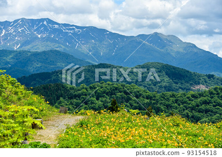 Early summer at Hakusan Alpine Botanical Garden 93154518
