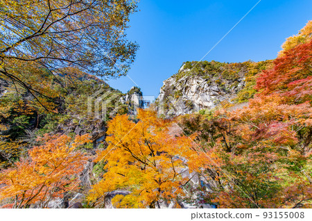 山梨縣昇仙峽染成秋色～學園坊～ 93155008