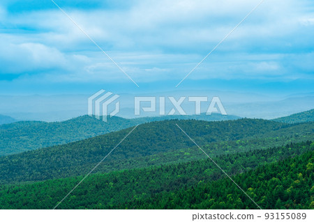 aerial view of wild wooded hills on a cloudy day 93155089
