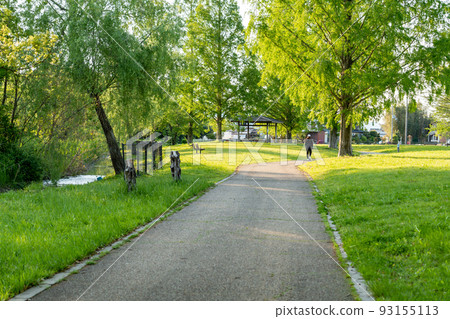 滋賀縣長濱市 初夏,人們在奧琵琶運動林的水杉林蔭道上散步 滋賀縣長濱市 初夏,人們在奧琵琶運動林的水杉林蔭道上散步 93155113