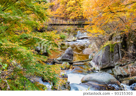 Yamanashi Prefecture Shosenkyo dyed in autumn leaves 93155303