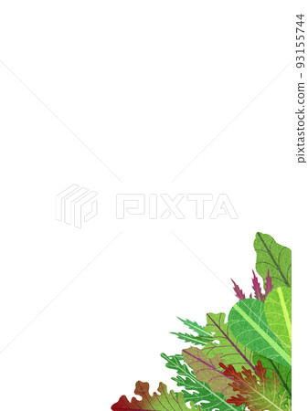 各種嫩葉、沙拉蔬菜和生菜的背景材料插圖。右下角。 各種嫩葉、沙拉蔬菜和生菜的背景材料插圖。右下角。 93155744