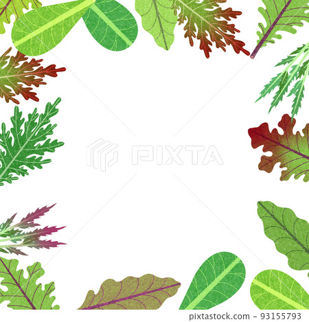 各種嬰兒葉子、沙拉蔬菜和生菜的框架材料插圖。葉子少了。 各種嬰兒葉子、沙拉蔬菜和生菜的框架材料插圖。葉子少了。 93155793