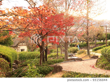 穿過秋葉的公園長廊 93156844