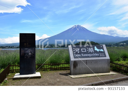 富士河口湖町大石公園河口湖信息紀念碑、薰衣草花田和富士山 93157133