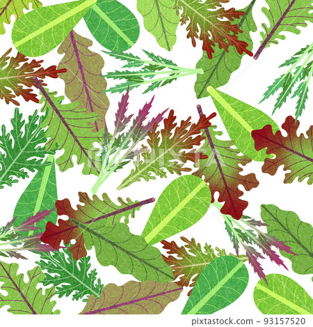 各種嫩葉、沙拉蔬菜和生菜的背景材料插圖。 93157520