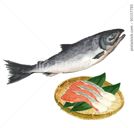 3 pieces of fillet with salmon and bamboo on a colander [watercolor painting] white background transparent background with copy space 93157785