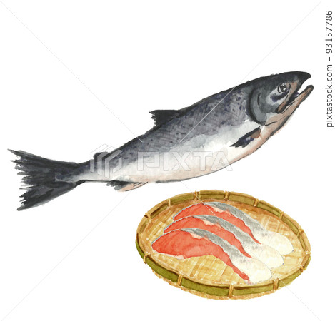 3 pieces of fillet on salmon and colander [watercolor painting] white back transparent background with copy space 93157786