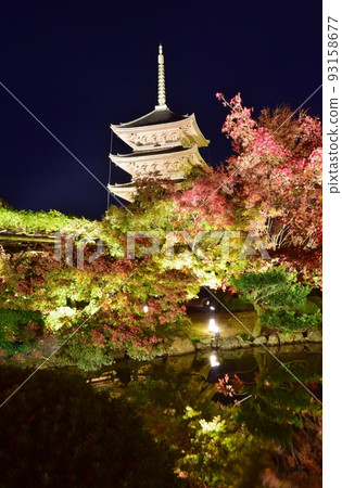 秋天的京都東寺紅葉燈火通明 秋天的京都東寺紅葉燈火通明 93158677