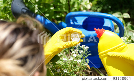 Female gardener in gloves adding fertilizer for plants to watering can Female gardener in gloves adding fertilizer for plants to watering can 93158904