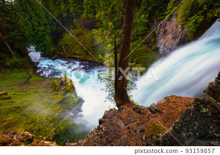 Sahalie Falls on McKenzie River located in Willamette National Forest, Oregon 93159857