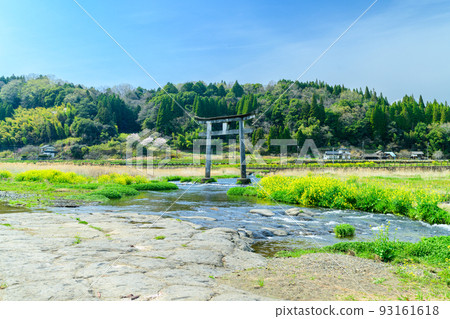 Cherry Blossom Season Roadside Station Harajiri Falls Scenery "Tourist Attractions and Travel" Bungo Ono City, Oita Prefecture Cherry Blossom Season Roadside Station Harajiri Falls Scenery "Tourist Attractions and Travel" Bungo Ono City, Oita Prefecture 93161618