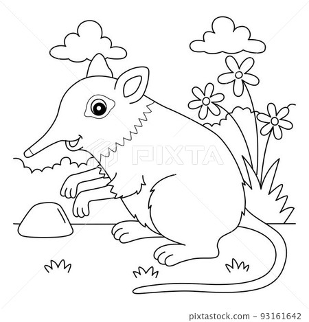 Elephant Shrew Animal Coloring Page for Kids Elephant Shrew Animal Coloring Page for Kids 93161642