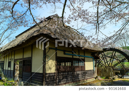 Cherry Blossom Season Roadside Station Harajiri Falls (water mill) ``Tourist Attractions and Travel'' Bungo Ono City, Oita Prefecture 93161688