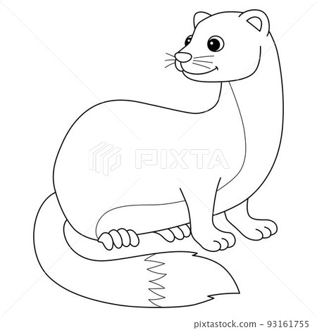 Weasel Animal Isolated Coloring Page for Kids 93161755