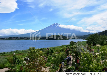 Fujikawaguchiko Town Oishi Park's Kawaguchiko Natural Living Center walking path, Mt. Fuji and flower beds 93162419