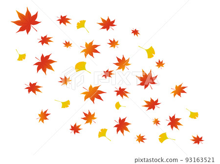 Leaf blizzard _ autumn leaves _ maple _ ginkgo 93163521