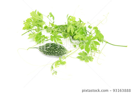 Bitter gourd or bitter melon with vine isolated on white background. 93163888