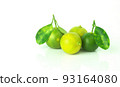 Fresh organic Calamansi lime on white background. 93164080